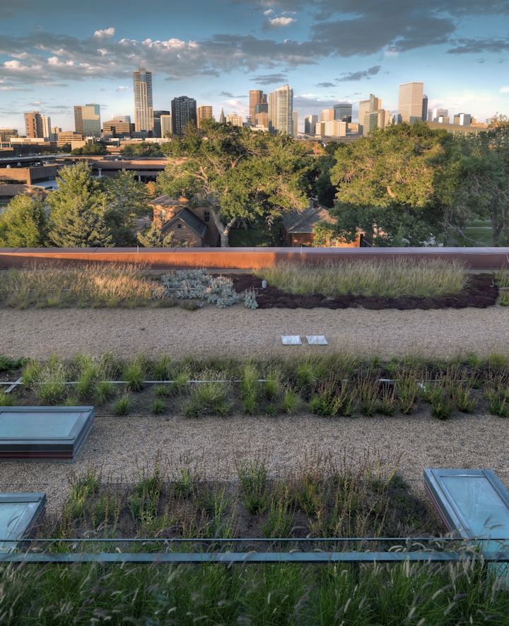 Confluence Building, Community College of Denver OZ Architecture